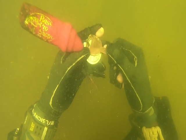 Depth estimation result